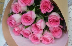 Pink Roses ورود زهرية