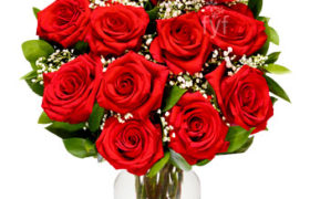 Red Roses ورود حمراء