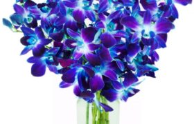Purple Orchids Bouquet بوكيه بيربل اوركيد