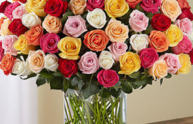 100 Colored Roses Bouquet باقه 100وردة ملونه